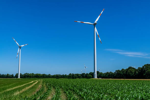 istock Wind turbines on a field in summer. 1345743843