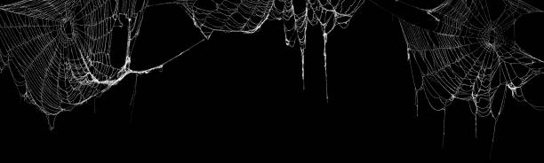 istock Real creepy spider webs hanging on black banner 1345749816