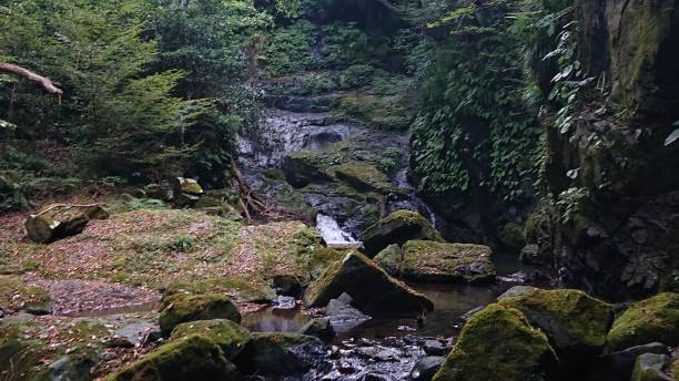 istock photographs in Takihata forest 1345751255