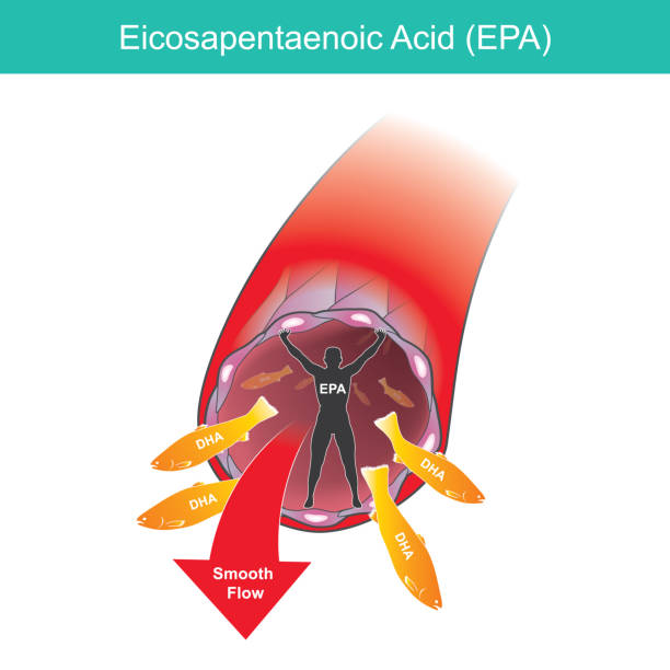 Eicosapentaenoic Acid. Illustration for commercial use about healthy care of artery wall to blood smooth flow."n Eicosapentaenoic Acid. Illustration for commercial use about healthy care of artery wall to blood smooth flow."n eicosapentaenoic acid stock illustrations