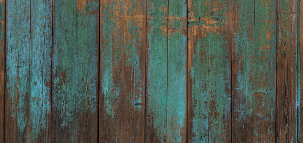 Old and grunge wood panels used as background.