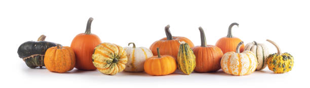 istock Many pumpkins isolated on white background 1345769039