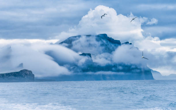 Beautiful northern gannets flying along the breathtaking coast of VÃ¡gar (VÃ¥gÃ¸) island, near Mykines, Faroe (FÃ¦rÃ¸erne) islands Beautiful northern gannets flying along the breathtaking coast of VÃ¡gar (VÃ¥gÃ¸) island, near Mykines, Faroe (FÃ¦rÃ¸erne) islands fã stock pictures, royalty-free photos & images