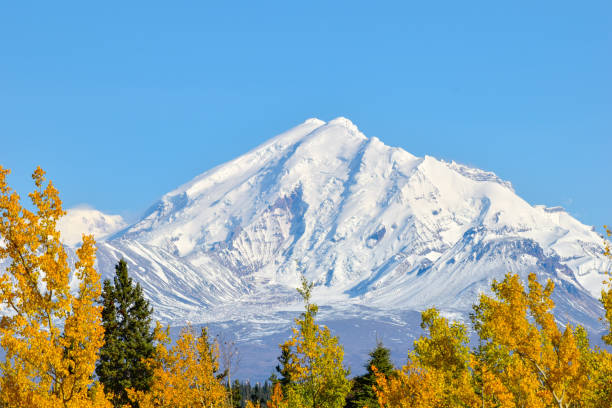 The mountains of Alaska rise above the tree line. A stunning site to see on this day in Summer. Many mountains such as these can be seen when traveling through interior Alaska towards Valdez, Alaska. . The road is long and full of natural beauty.  Travelers going over Thompson Pass will be amazed at the scenic views along the way.