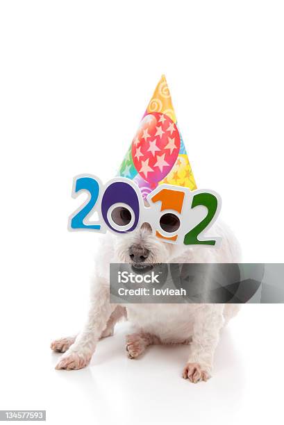Party Feiern Sie Silvester 2012 Stockfoto und mehr Bilder von 2012 - 2012, Bichon, Brille