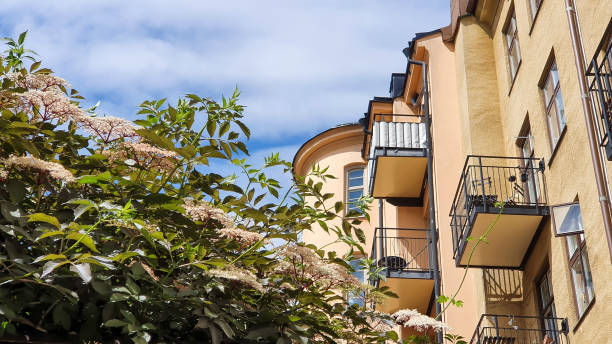 View of a calm courtyard in Stockholm with blooming flowers on a hot sunny day Yellow residential houses with a "bostadsrättsförening" (homeowner association) in the background with blooming elder berry trees in the foreground apartment balcony garden stock pictures, royalty-free photos & images