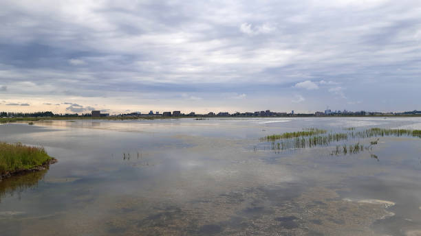 istock Nieuwe Driemanspolder, The Hague, Netherlands 1345791685