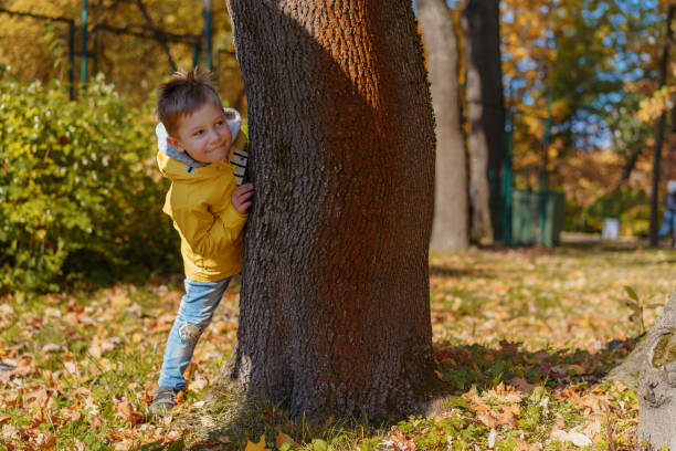 istock cute caucasian boy hide behind tree in autumn park. playing outdoors 1345793982
