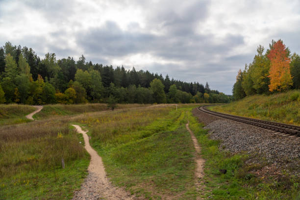 Railway in the autumn forest. Autumn forest day