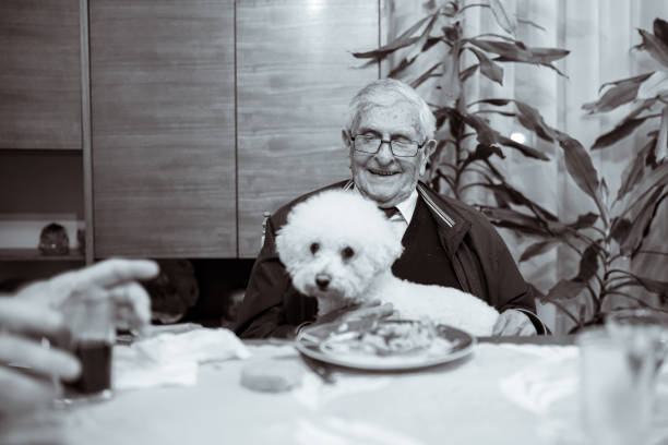 Senior man holding his Bichon dog Senior man holding his Bichon dog in the lap during a dinner time 90 plus years photos stock pictures, royalty-free photos & images