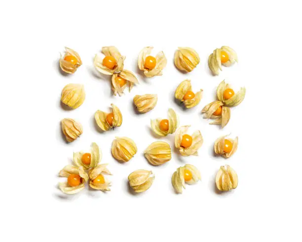 Collection of physalis berries or golden berry isolated on white background. Physalis fruit food ingredient. Top view.