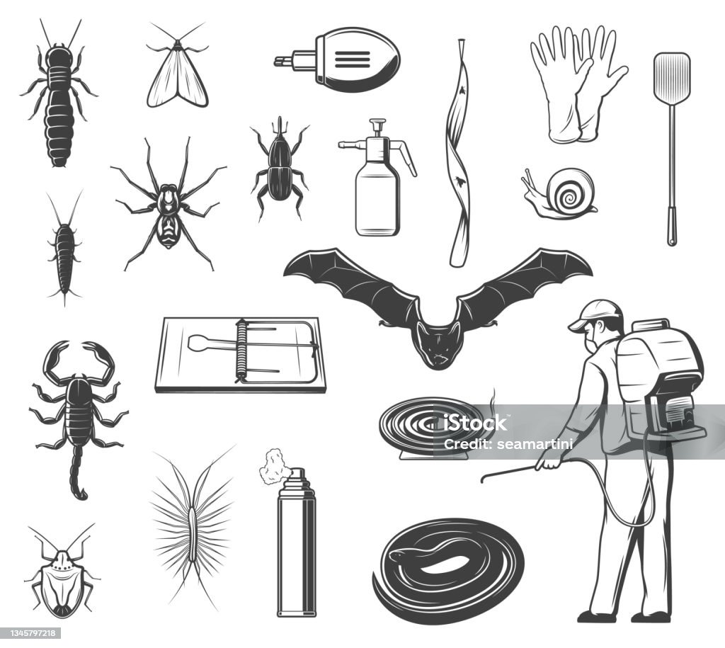 Pests Control Equipment Insects And Animals Icons Stock Illustration -  Download Image Now - Pest, Weevil, Scorpion - iStock
