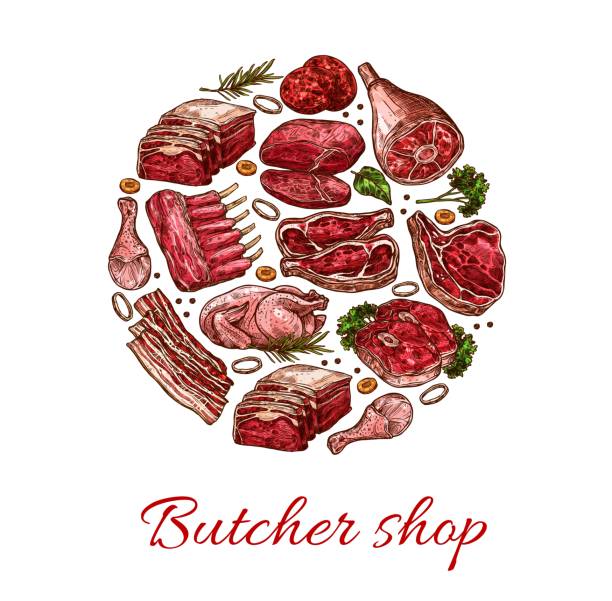 돼지고기, 쇠고기, 양고기, 닭고기 스케치 - pork chop illustrations stock illustrations