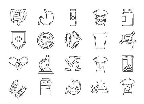 Probiotic, lactobacillus bacteria thin line icons Probiotic, lactobacillus and prebiotic bacteria icons. Intestines health care, digestion problems treat and immunity microflora, probiotic capsules, yogurt and bacteria thin line vector icons set prebiotic probiotic stock illustrations