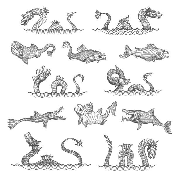 ilustraciones, imágenes clip art, dibujos animados e iconos de stock de bocetos de serpientes marinas, dragones y monstruos leviatán - adventure history map backgrounds