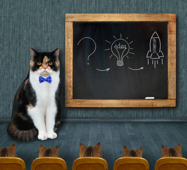 istock Cat colored teacher giving lesson 3 1345798266