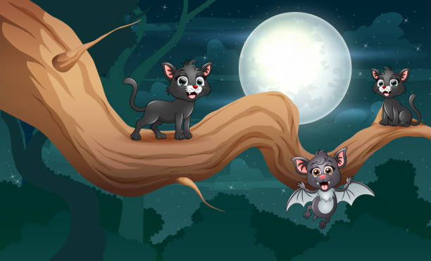 ilustraciones, imágenes clip art, dibujos animados e iconos de stock de dibujos animados un murciélago y gatos negros en el árbol por la noche - bat moon outdoors nature