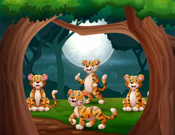 ilustrações de stock, clip art, desenhos animados e ícones de group of tigers in the jungle at night illustration - rainforest tropical rainforest forest moonlight