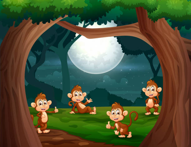 ilustrações de stock, clip art, desenhos animados e ícones de group of monkeys in the jungle at night illustration - rainforest tropical rainforest forest moonlight