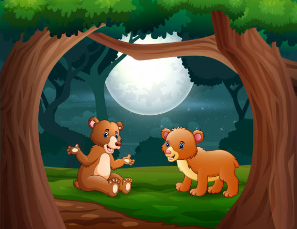 ilustrações de stock, clip art, desenhos animados e ícones de cartoon two bears in the jungle at night illustration - rainforest tropical rainforest forest moonlight