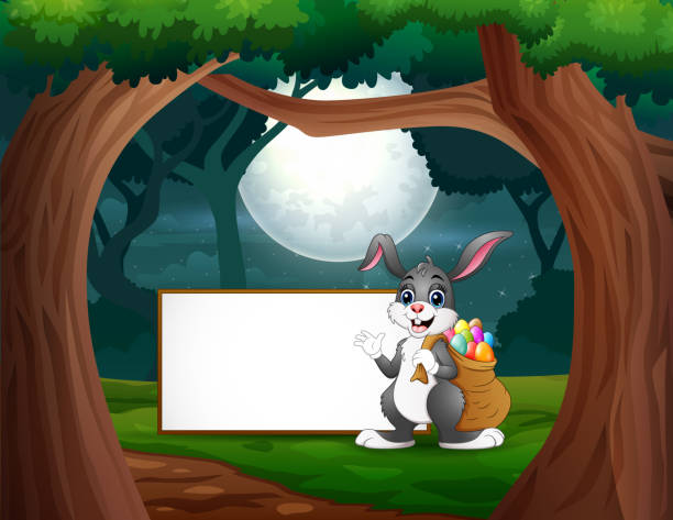 ilustrações de stock, clip art, desenhos animados e ícones de happy a bunny standing near the blank sign at night - rainforest tropical rainforest forest moonlight
