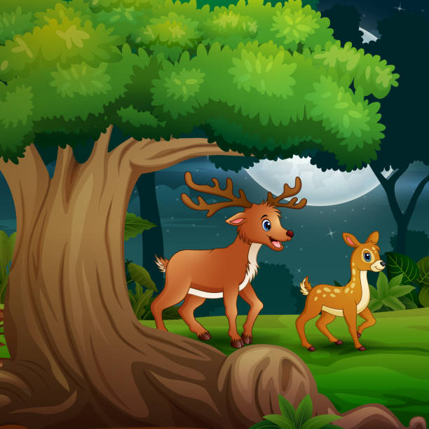 ilustrações de stock, clip art, desenhos animados e ícones de a deer with her cub in the forest at night - rainforest tropical rainforest forest moonlight