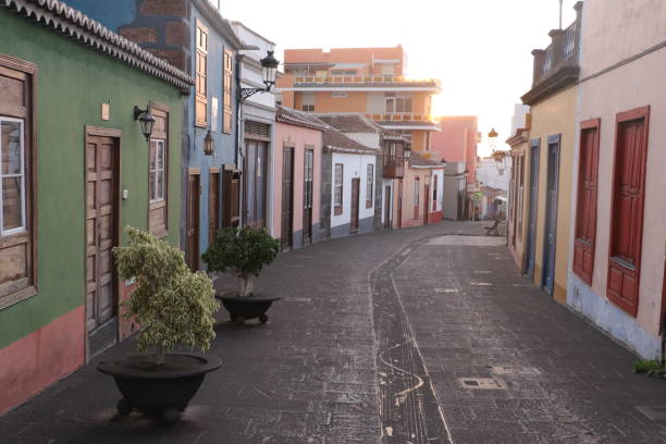 istock volcano la Palma ashes in street 1345799364