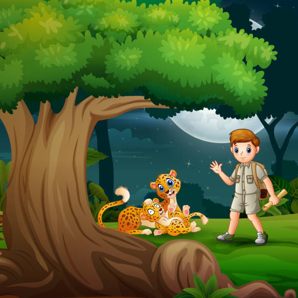 ilustrações de stock, clip art, desenhos animados e ícones de cartoon the explorer boy and cheetah under the tree - rainforest tropical rainforest forest moonlight