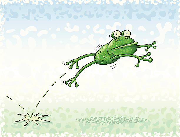 Jumping Frog vector art illustration