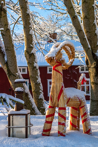 Falköping, Sweden - December 01, 2016: Snowy Christmas goat at Christmas
