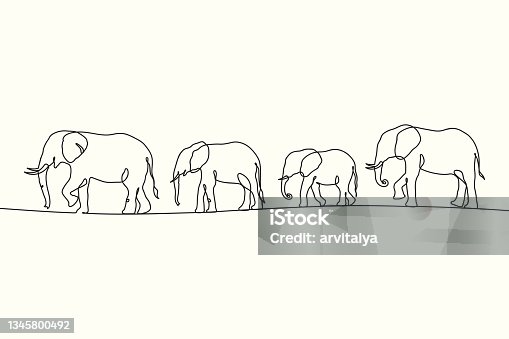 istock Linear elephant herd 1345800492