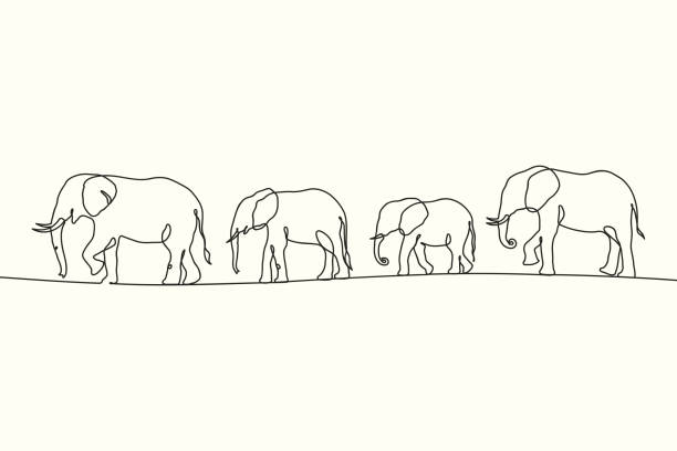 Linear elephant herd Animal family outline. Continuous single line baby elephant outline drawing stock illustrations
