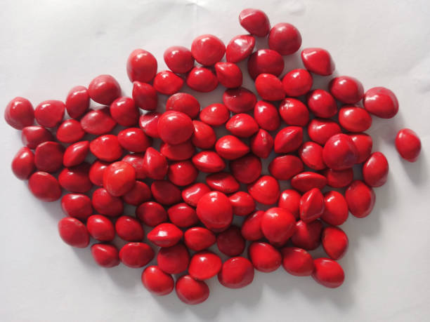 istock Saga Seed Acacia beans red in colour 1345800530