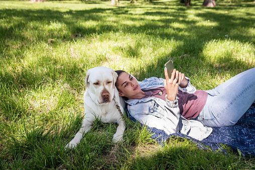 Young beautiful woman lying in the park with her pet dog a golden or yellow Labrador Retriever and surfing the internet on smartphone while having fun and enjoying a beautiful sunny autumn day