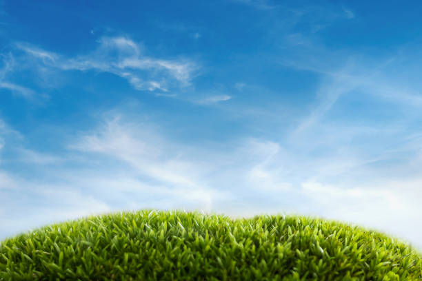 istock green grass field with blue sky ad white cloud. nature landscape background 1345808609