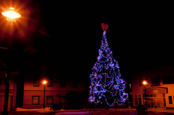istock Illuminated trees in a winter city 1345809351