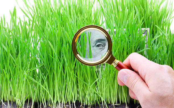 istock Focus on green money 134581834