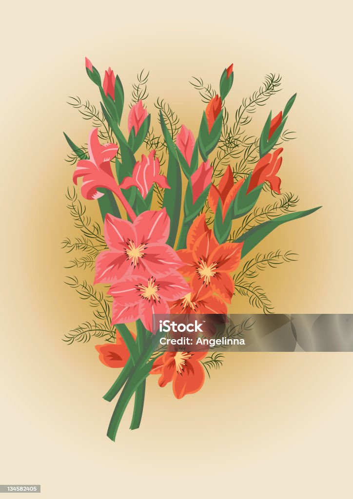 Rosa y rojo gladioluses - arte vectorial de Gladiolo libre de derechos