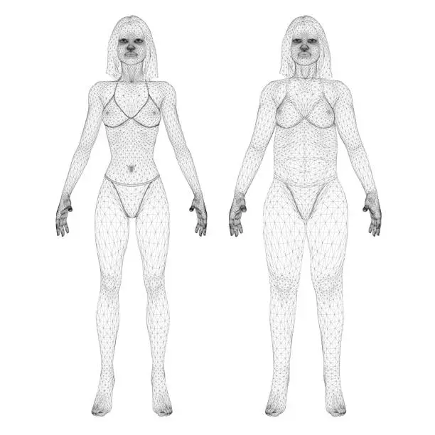 Vector illustration of Two models of a wireframe girl in underwear, a slim and fat girl. The process of obesity of the girl body. Front view. 3D. Vector illustration