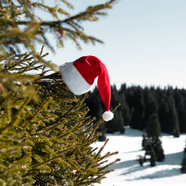 weihnachtsmannhut auf tannen oder fichte vor dem hintergrund von schnee winter bergwald. weihnachts- und neujahrsfeier, feiertage, urlaub im skigebiet. weihnachtsdekoration im freien - ski resort hut snow winter stock-fotos und bilder