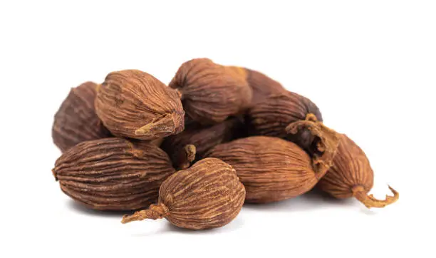 Black Cardamom Pods on a White Background