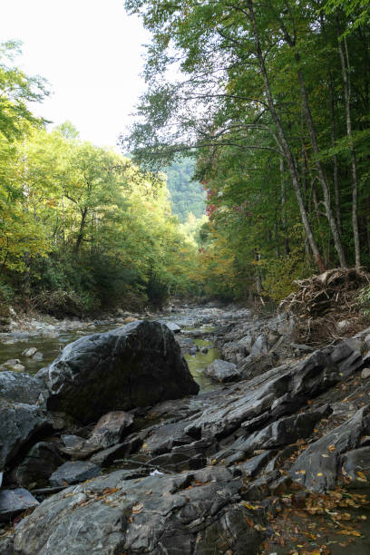 istock After the flood river scenery 1345827431
