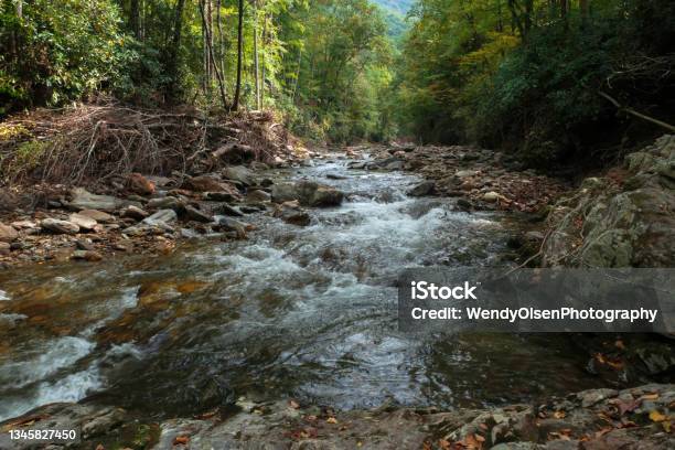 River Scenery Looking Upstream Stock Photo - Download Image Now - Beauty In Nature, Color Image, Flowing