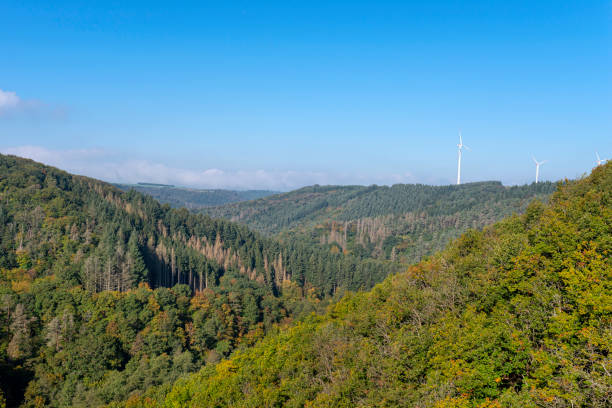 istock Wind turbines for electricity production over a dense forest in western Germany. 1345827556