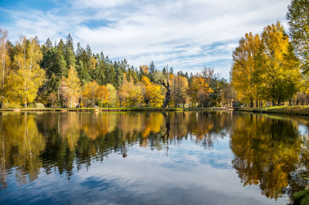 istock Autumn Foliage Reflected in a Still Lake 1345828663