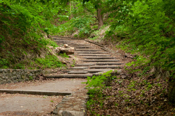 istock ancient wide stairs at the forest 1345829592