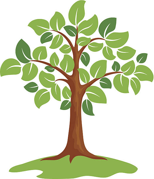 Vector green tree vector art illustration