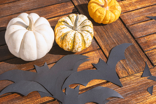 Preparing Halloween decoration. On wood table colored authentic pumpkin fruits and black paper bat ornaments. Using a template for Halloween party. Holiday preparation skills. Crafts and hobby.