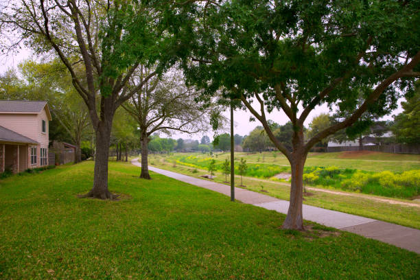 istock Creek park with track and green lawn grass 1345831409
