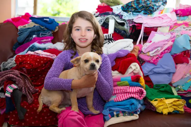 girl sitting on a messy clothes sofa with chihuahua dog before folding laundry